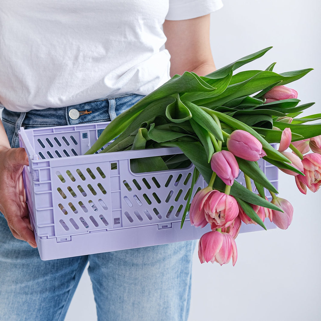 Color Storage Crate, Medium - Laeta Kids