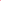 Bloom - Pink | Tulle Statement Bow