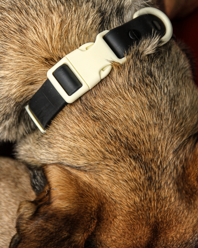 The Fritz Collar