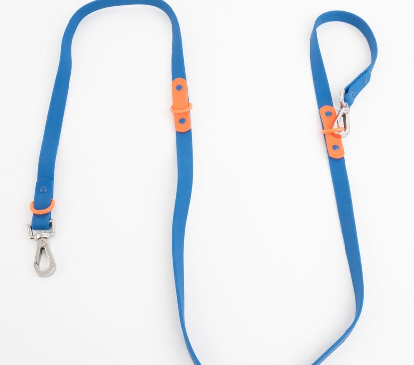 The Fritz Leash