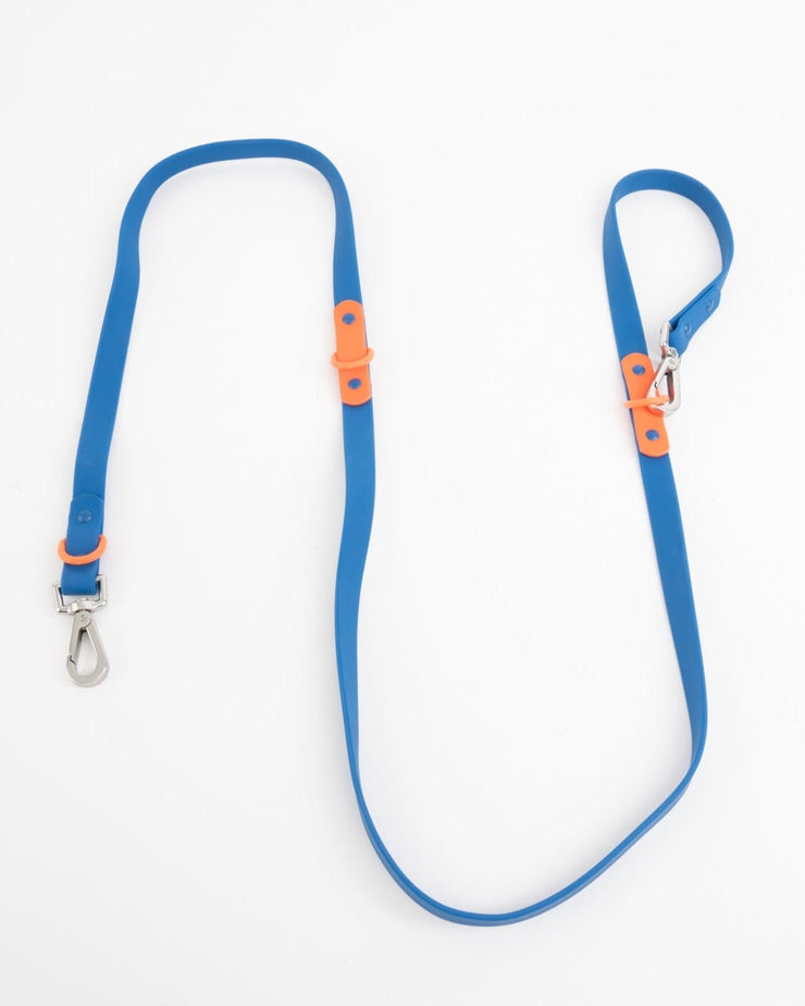 The Fritz Leash