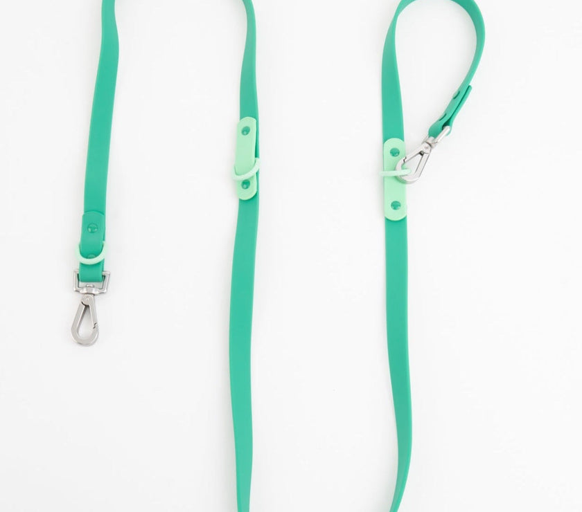 The Fritz Leash