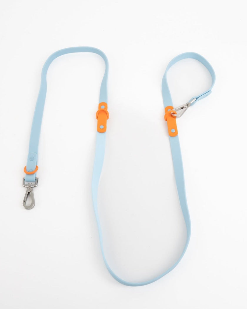 The Fritz Leash