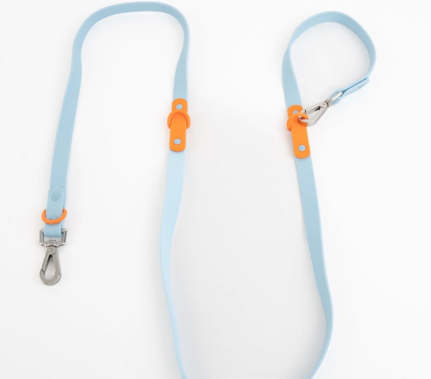 The Fritz Leash