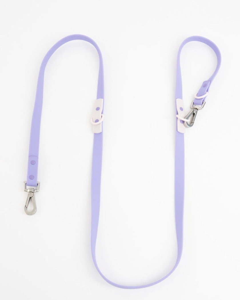 The Fritz Leash