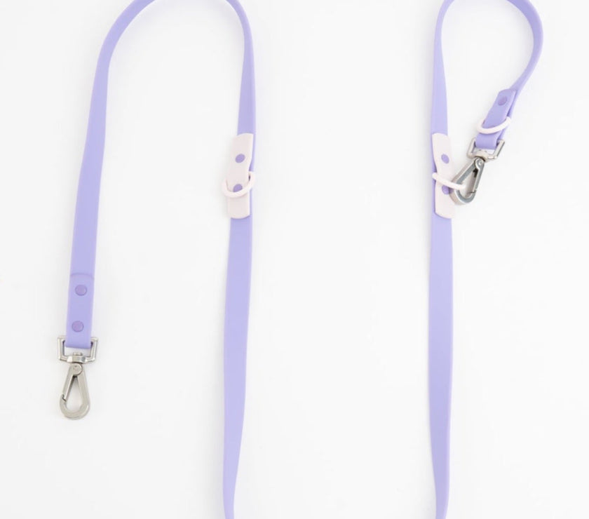 The Fritz Leash