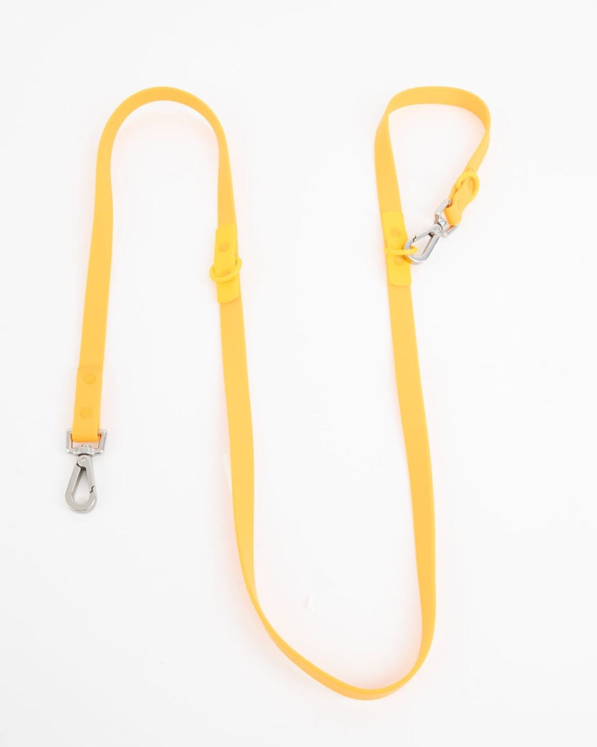 The Fritz Leash