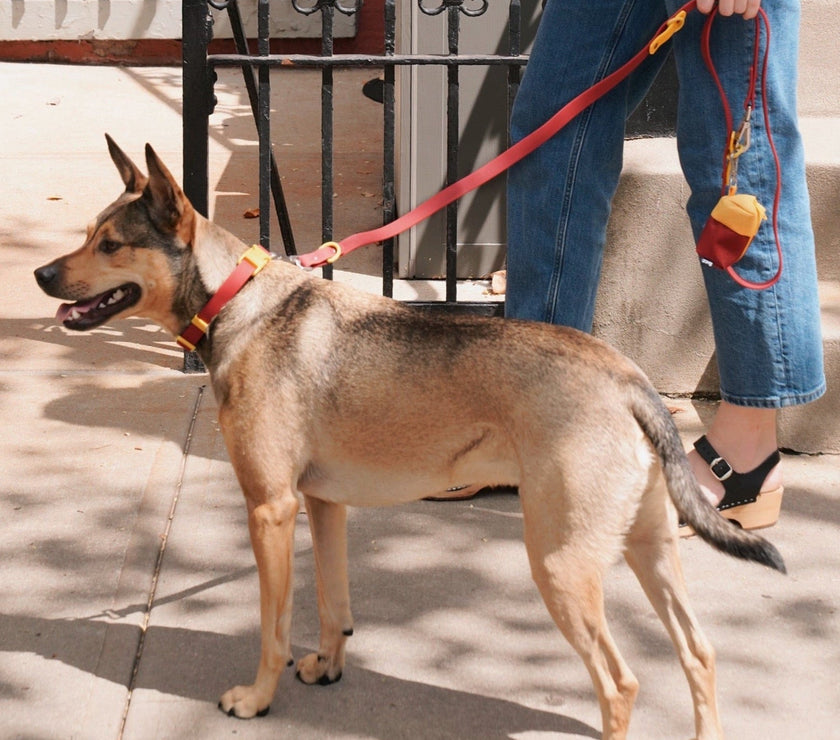 Walk Set
