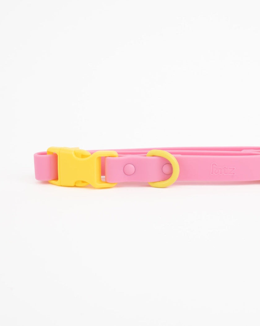 The Fritz Collar