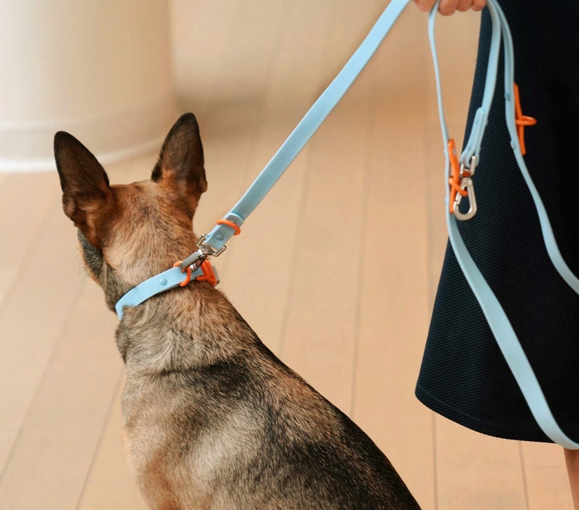 The Fritz Collar