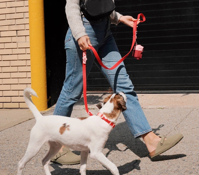 Walk Set