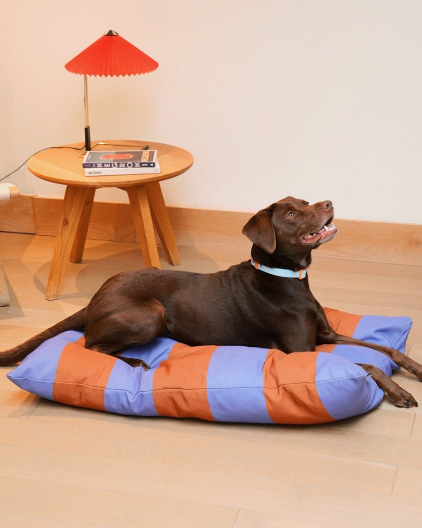 The Fritz Bed - Laeta Kids