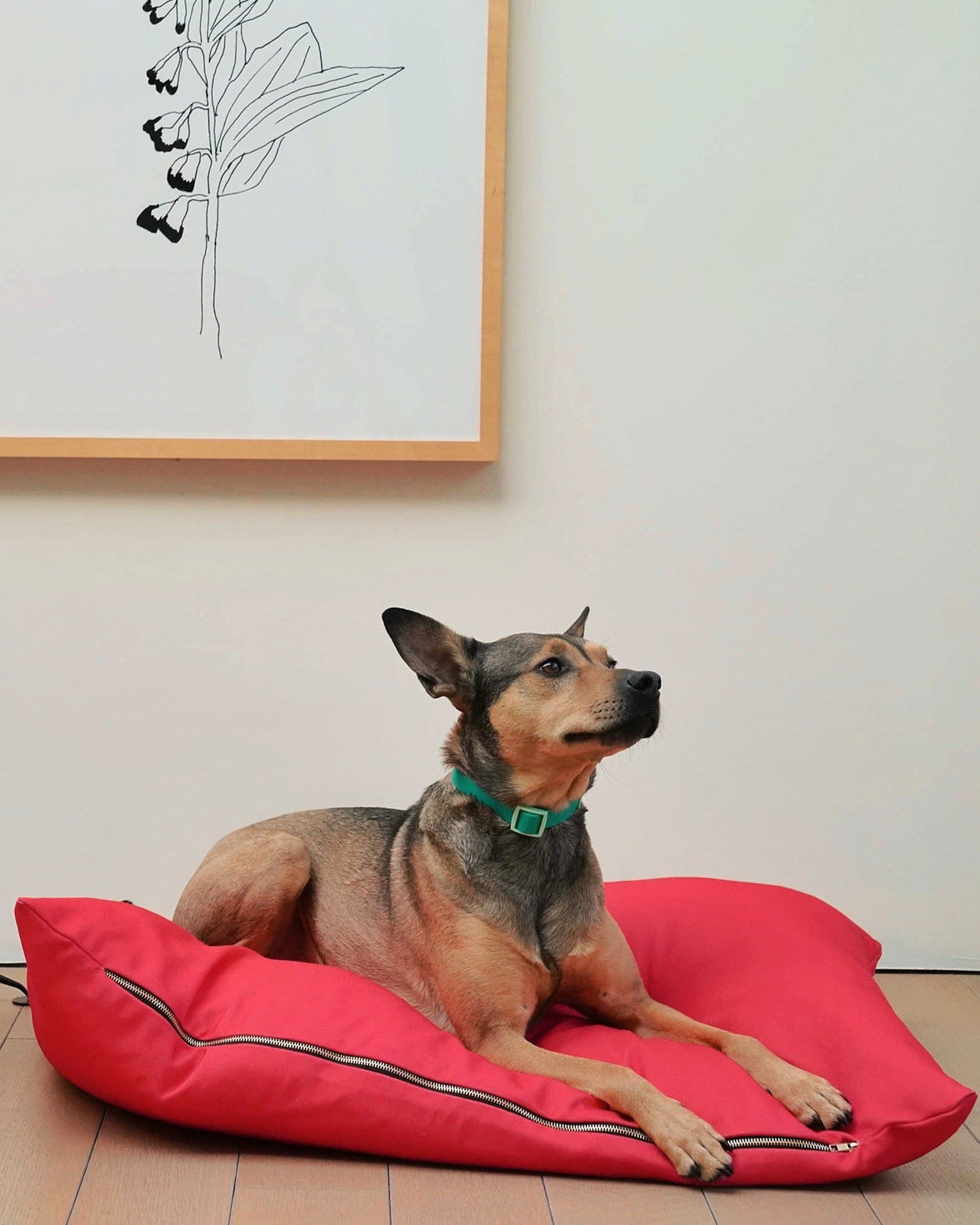 The Fritz Bed - Laeta Kids