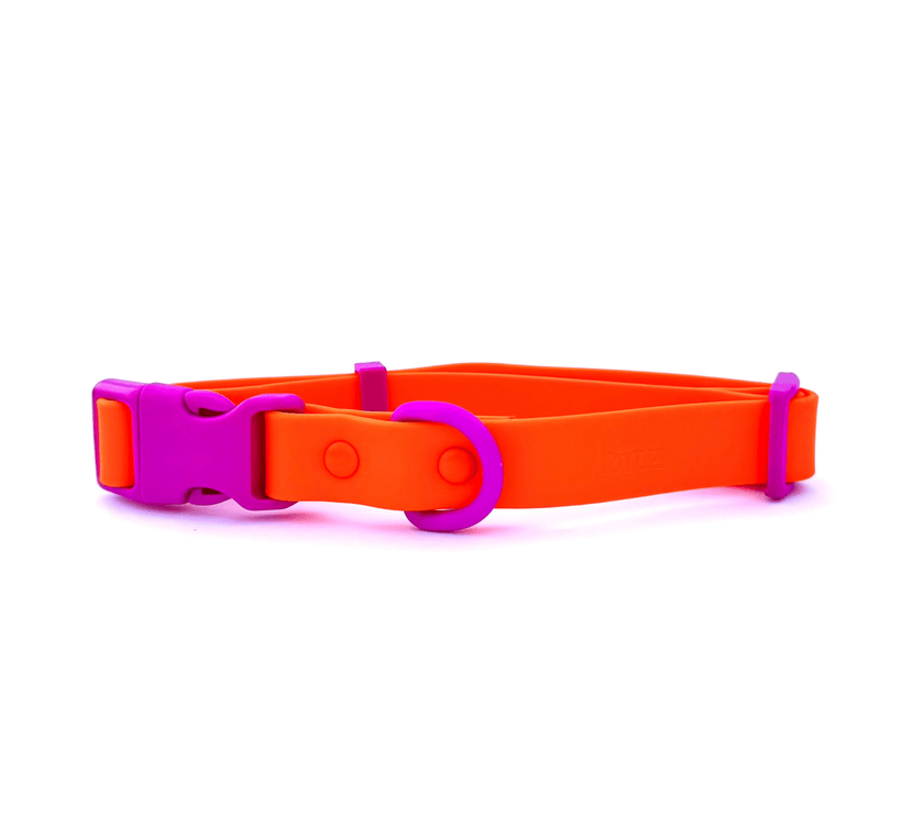 The Fritz Collar - Laeta Kids