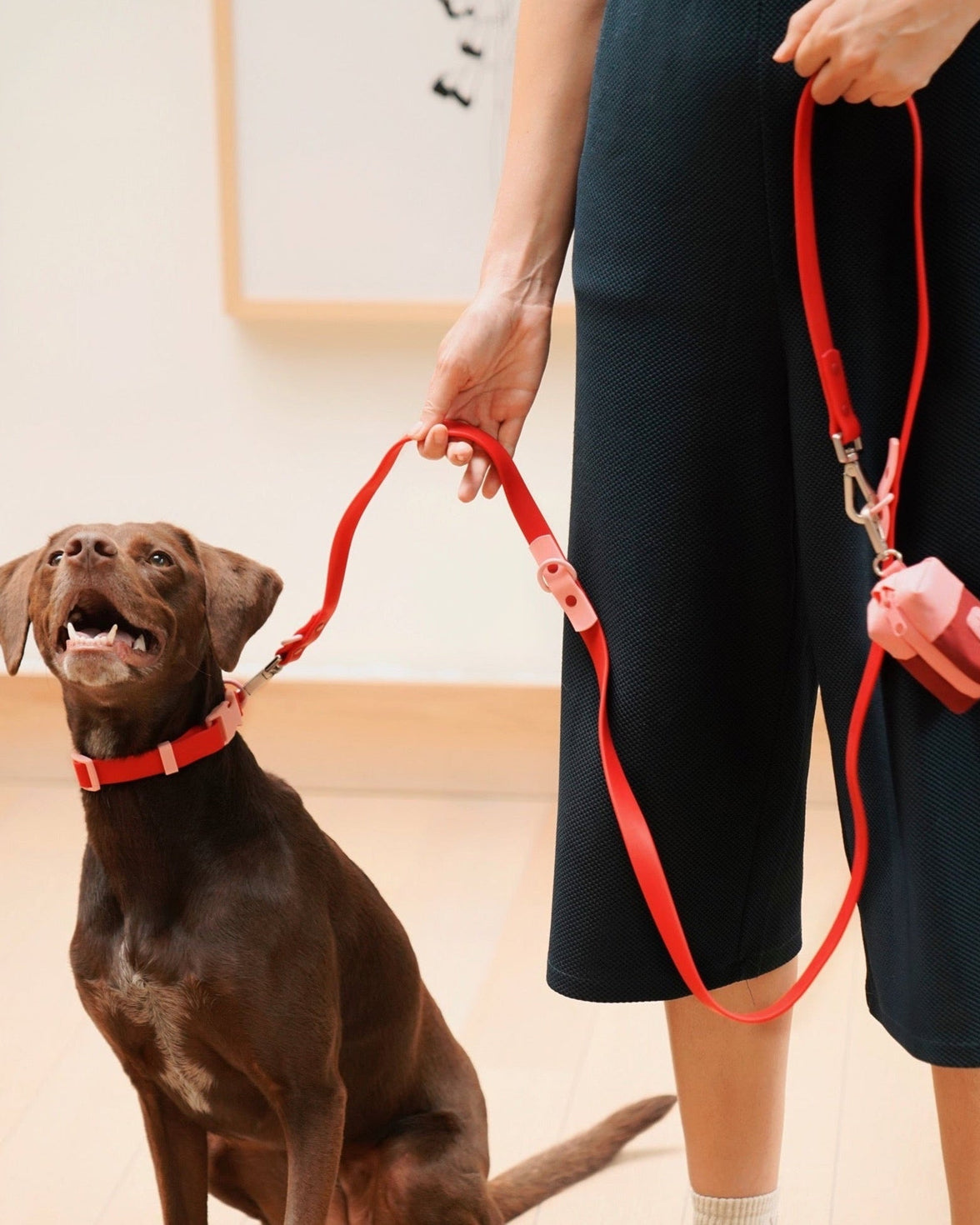 The Fritz Collar - Laeta Kids