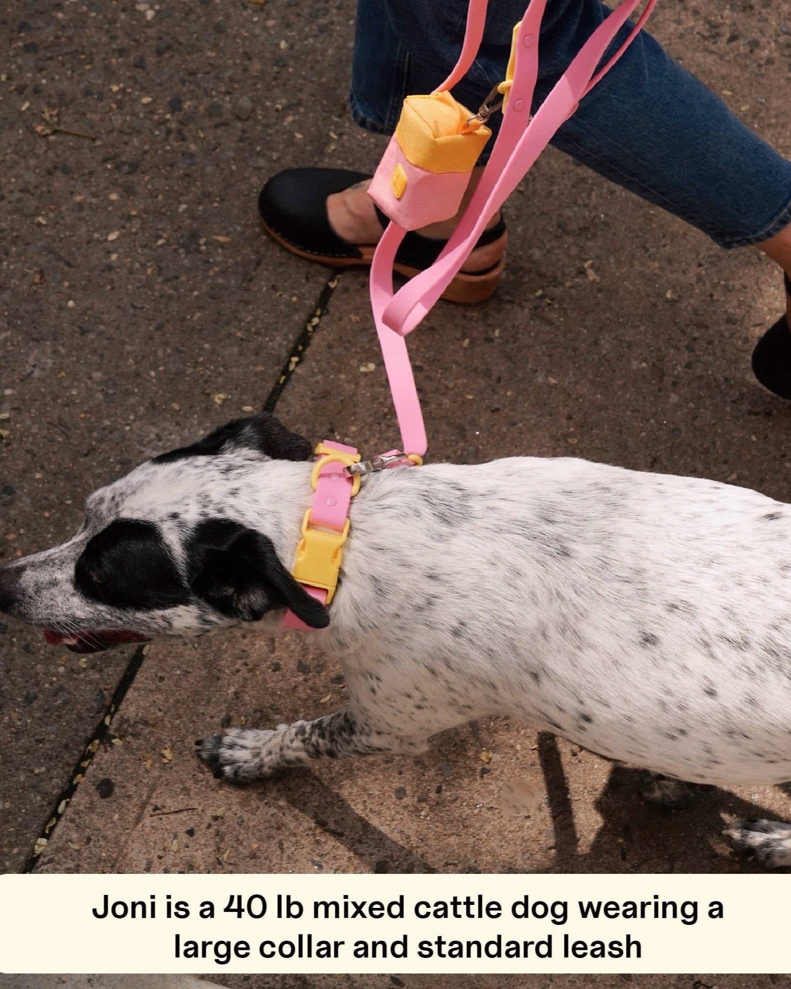 The Fritz Collar - Laeta Kids