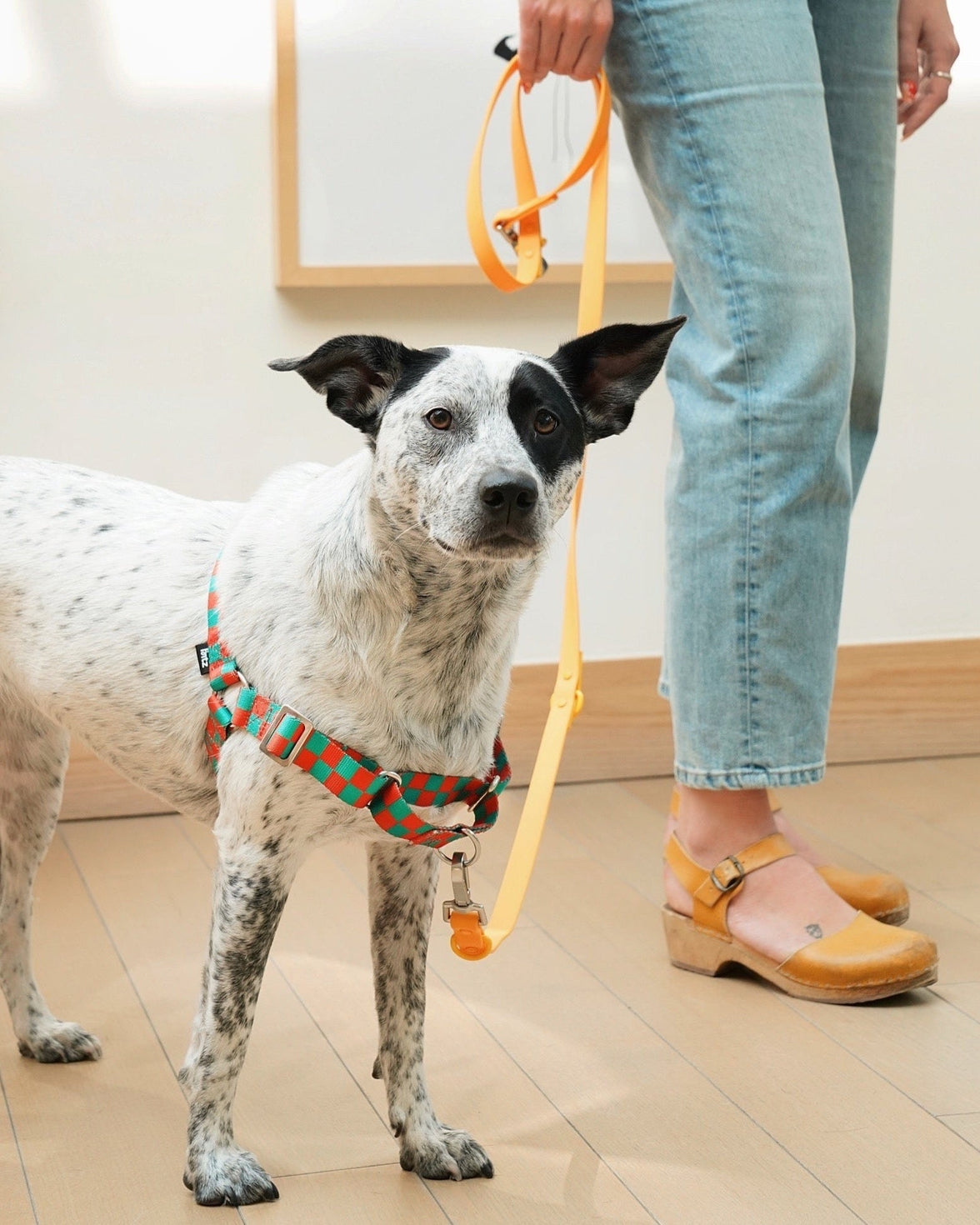 The Fritz Harness - Laeta Kids