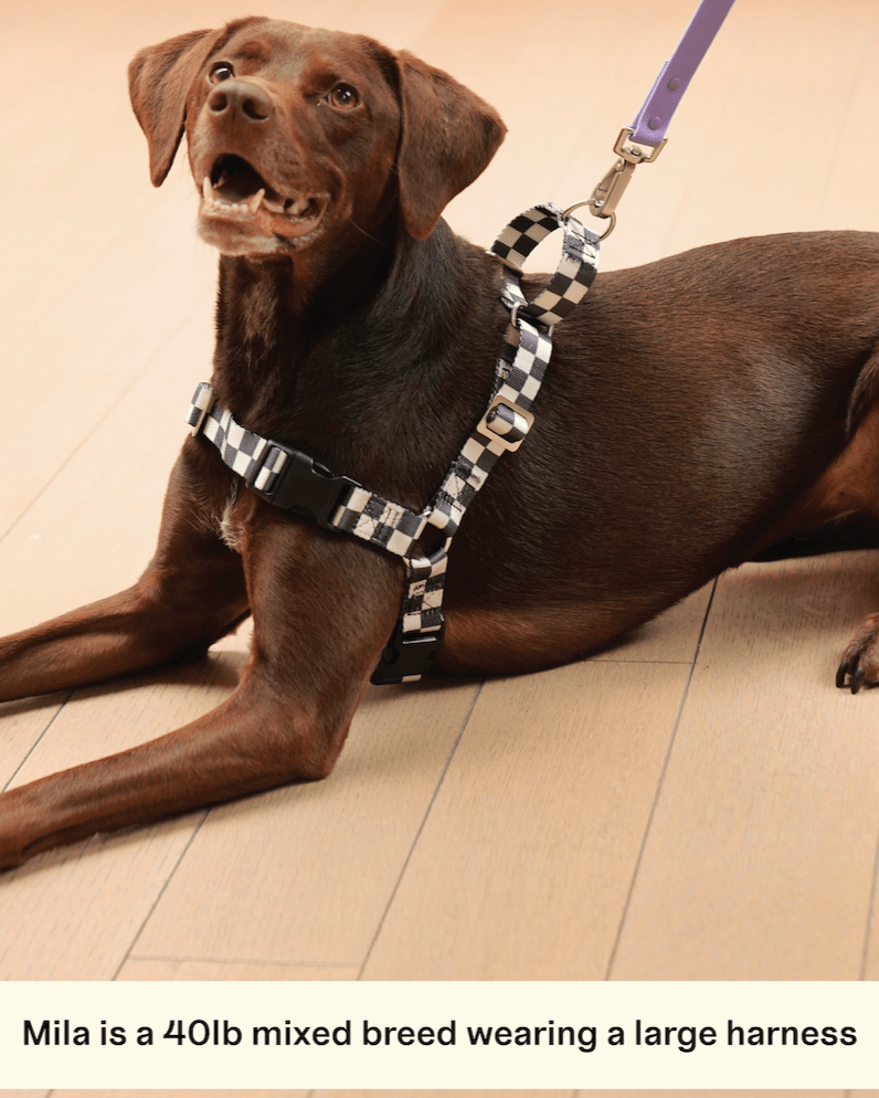 The Fritz Harness - Laeta Kids