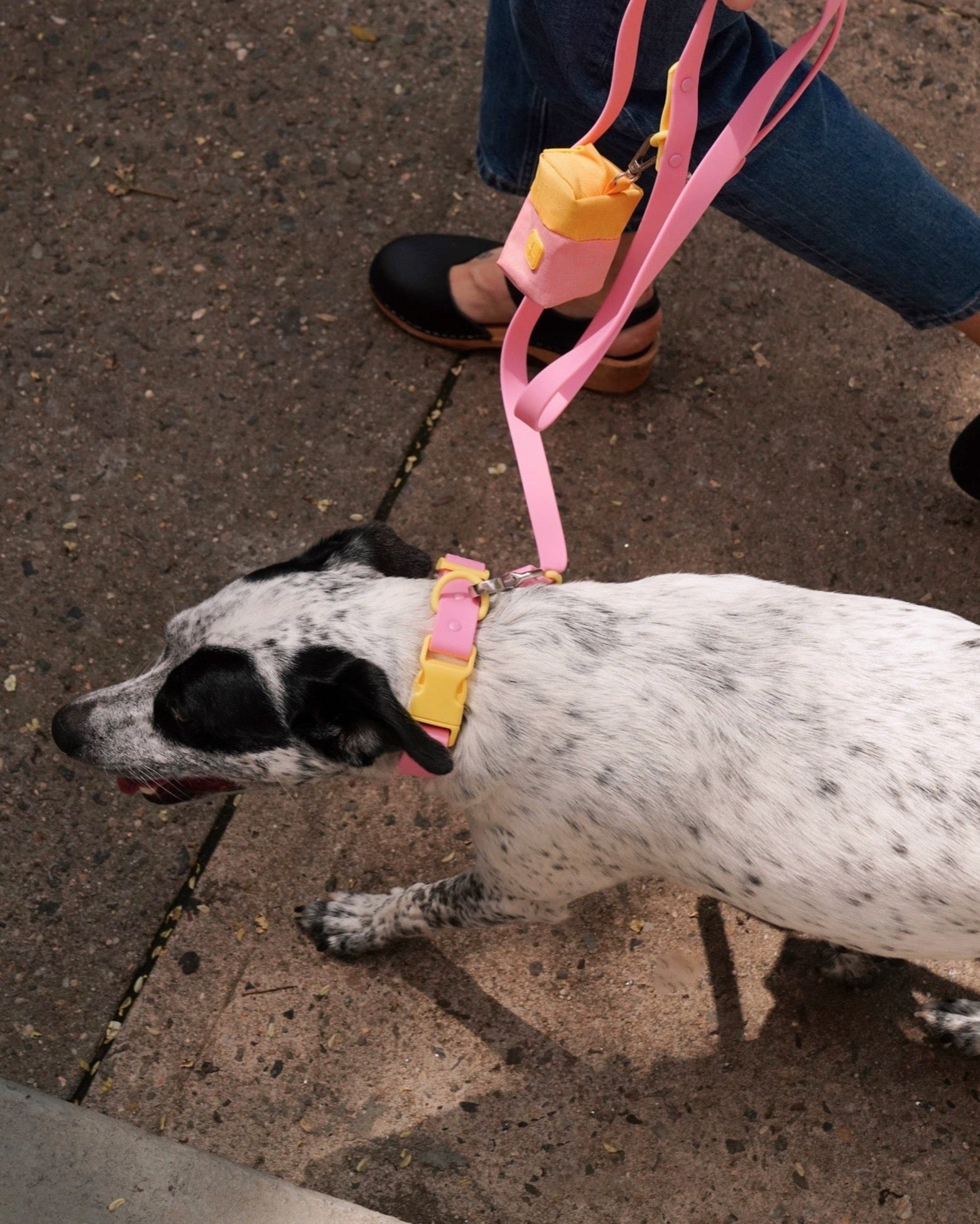 The Fritz Leash - Laeta Kids