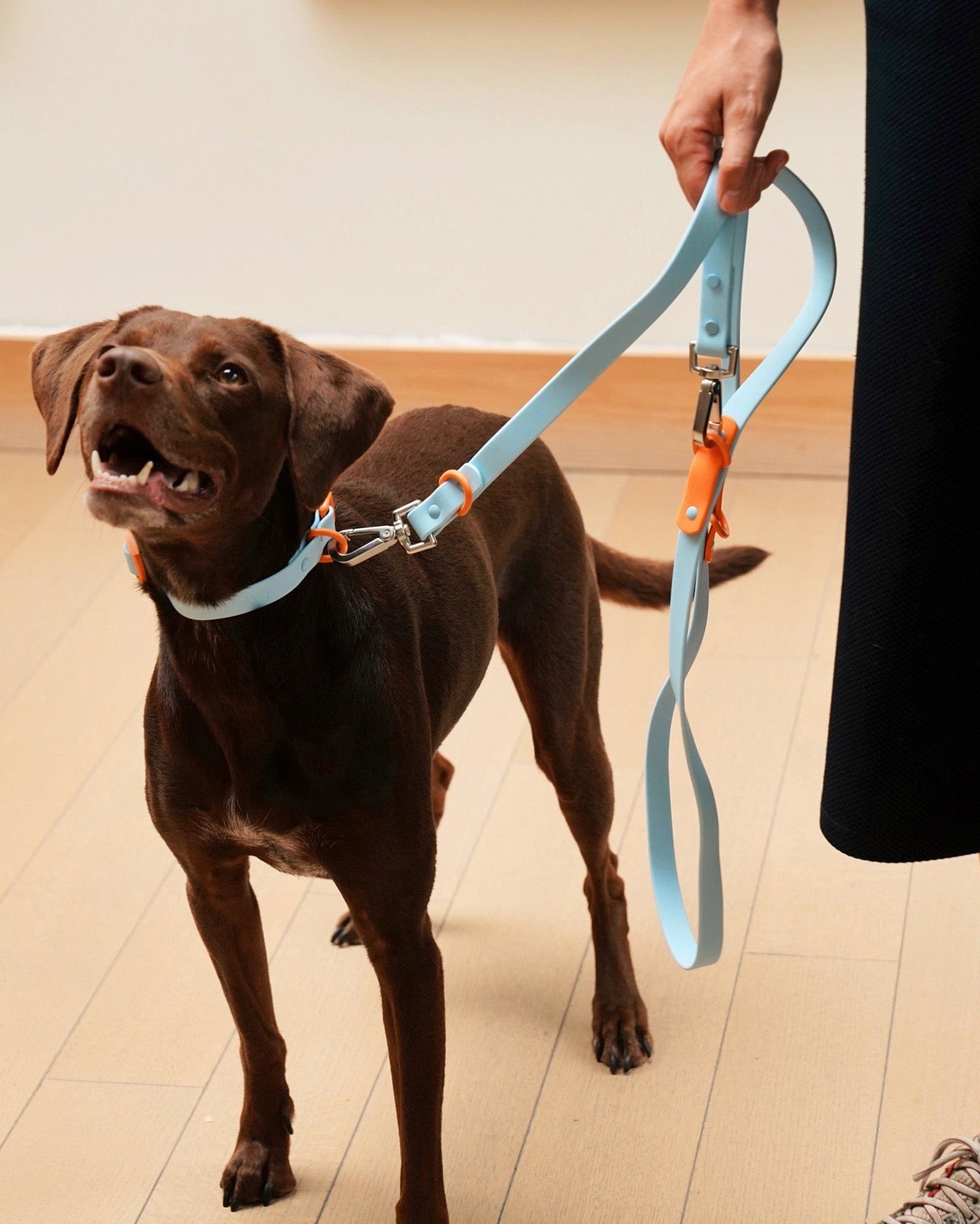 The Fritz Leash - Laeta Kids