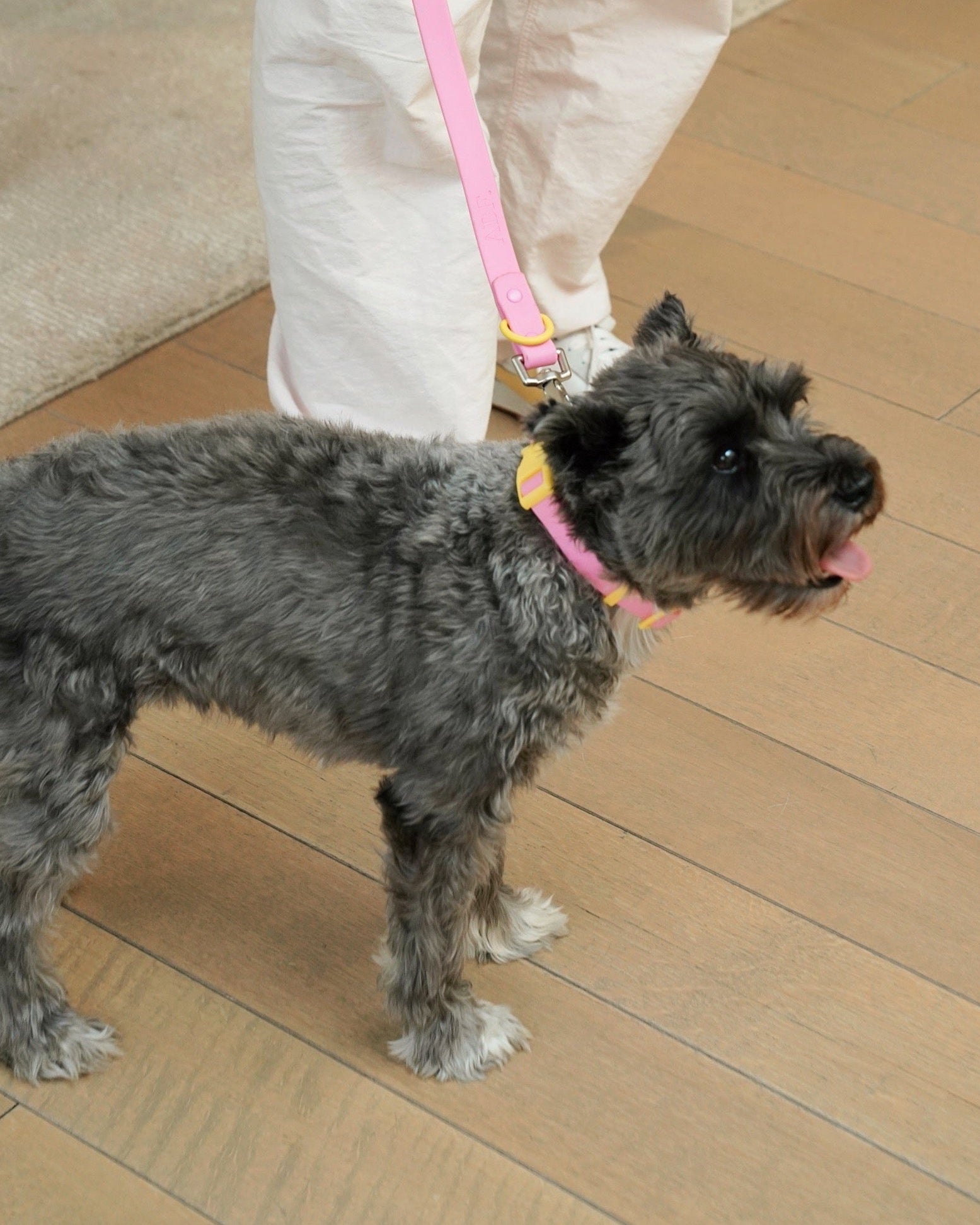 Walk Set - Laeta Kids