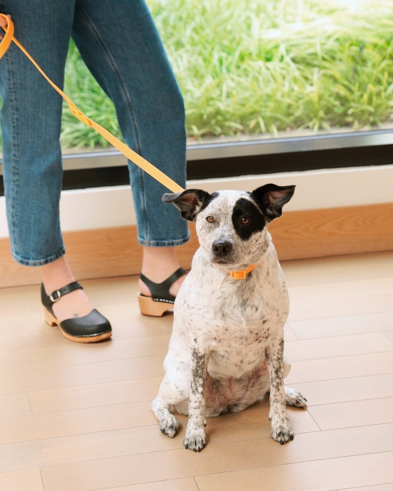 Walk Set - Laeta Kids